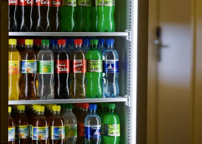 酒店 Engel - Self Checkin 费尔德基希