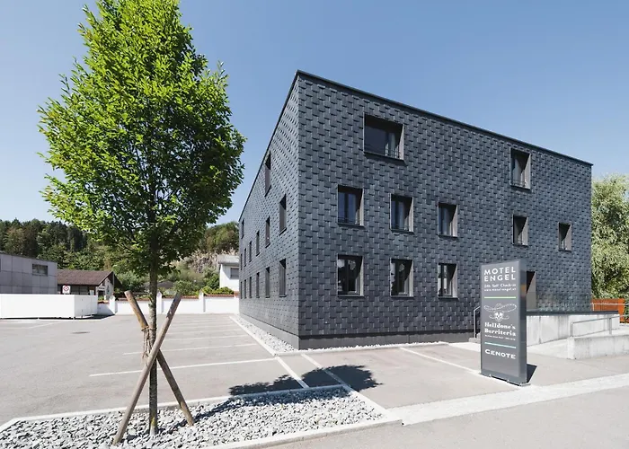 Engel - Self Checkin 2*