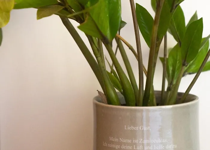 Hotel Engel - Self Checkin 2*